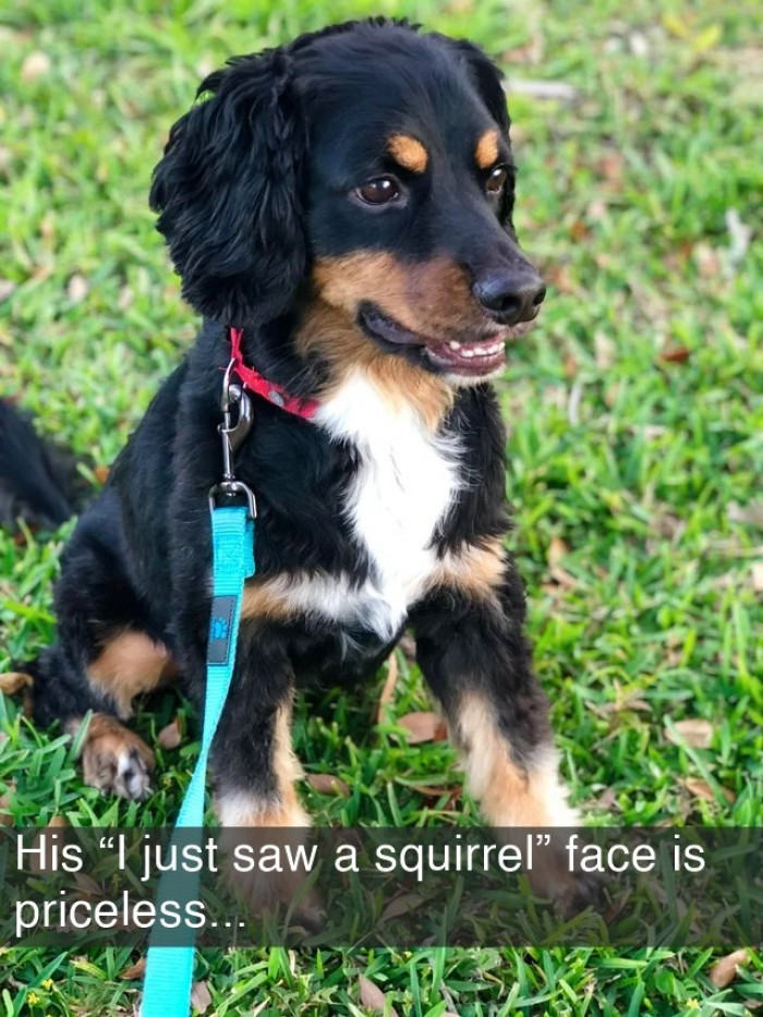 24. The face you give when you have to smile at everyone at work