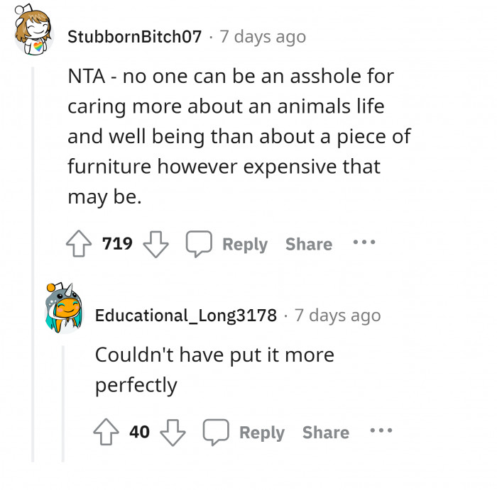 #2 Animal life versus expensive furniture.