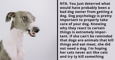 Redditor Ruins The Reputation Of Dogs With His Mom After Telling Her That Canines Enjoy Squeaky Toys As It Mimics A Squealing Prey