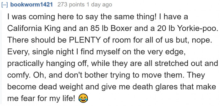 More people can relate to the top response.