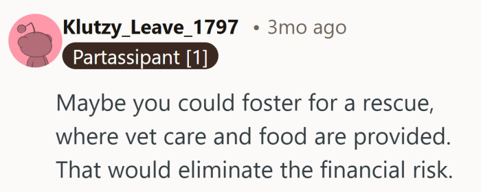 Another compromise enters the mix. Pet companionship, minus the financial panic.