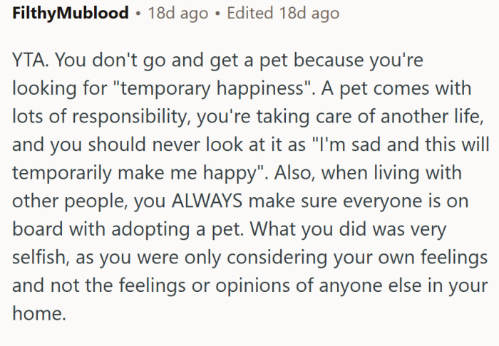 A pet comes with lots of responsibility