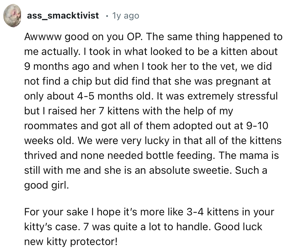 “I hope it’s more like 3-4 kittens in your kitty’s case. Seven was quite a lot to handle.”