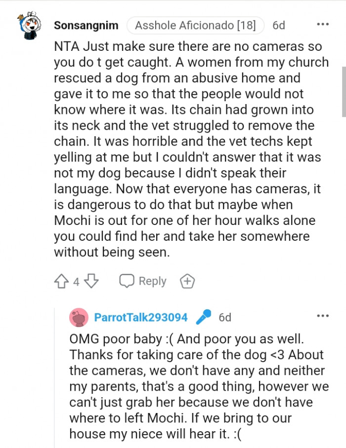 You can find the dog and take it somewhere else