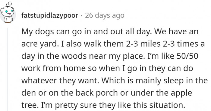 Another Redditor confirmed that his dogs love spending time in the yard.