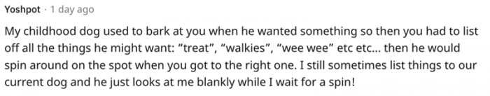 15. This little spinner