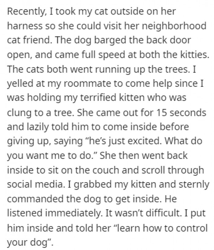 After an incident where the dog scared OP's cat, along with the neighbor's cat, OP decided it was enough and told her roommate to learn how to control her dog