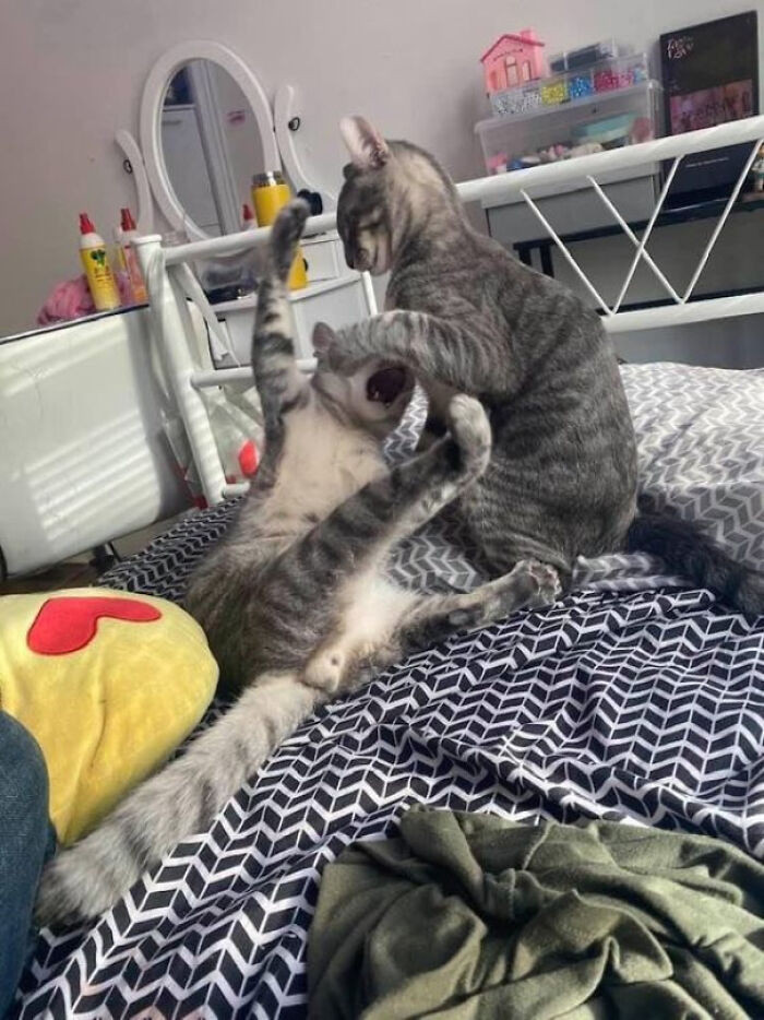 "Here They Go Again"