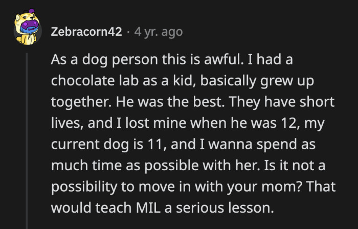 It Might Be Best for OP, the Baby, and Their Dog to Move in with OP's Mom Instead of Her In-Laws