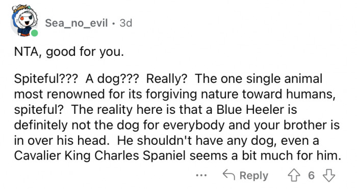 Dogs are not "spiteful."