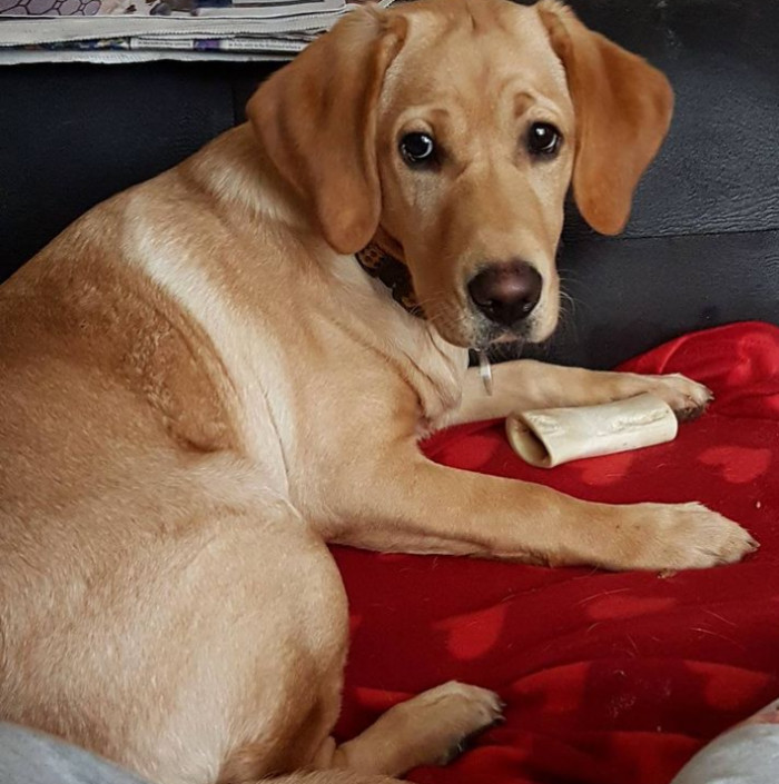 5. You loved that time when they were just a wee little teenager.