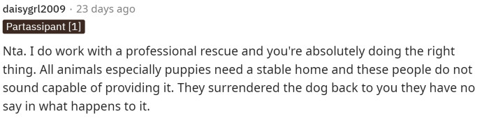 A professional commented that OP is doing the right thing by not giving the dog back.