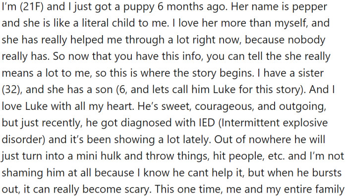 OP has a 6-month-old puppy named Pepper. Pepper is like a child to OP and has helped her through a lot, as she loves her more than herself