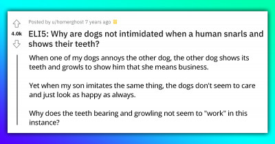 Reddit Thread Reveals Why Dogs Are Not Intimidated When Humans Snarl And Show Their Teeth