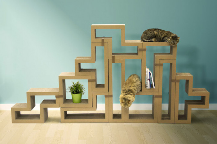 Cats love exploring, climbing, and scratching