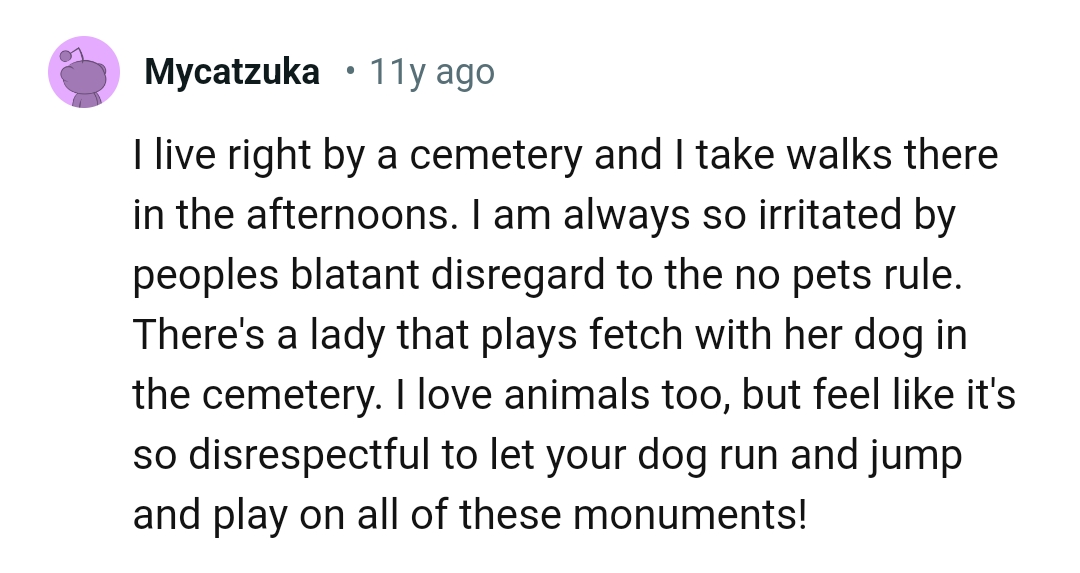 This Redditor also feels it's disrespectful to let your dog jump and play on people's monuments