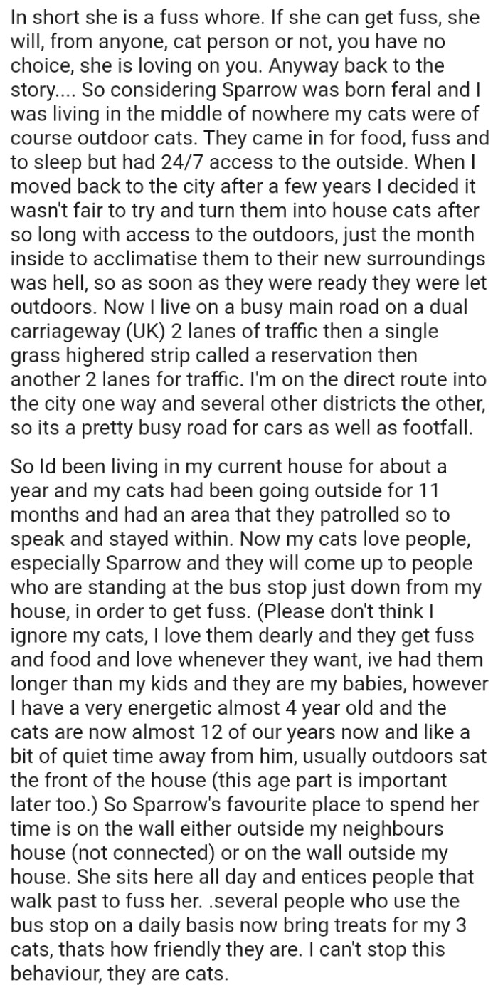 The OP loves them dearly, and they receive fuss, food, and love whenever they want