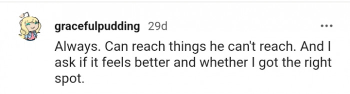 You can reach things the dog can't