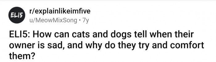 Cat and dog reacting to subtle physiological changes in their owner