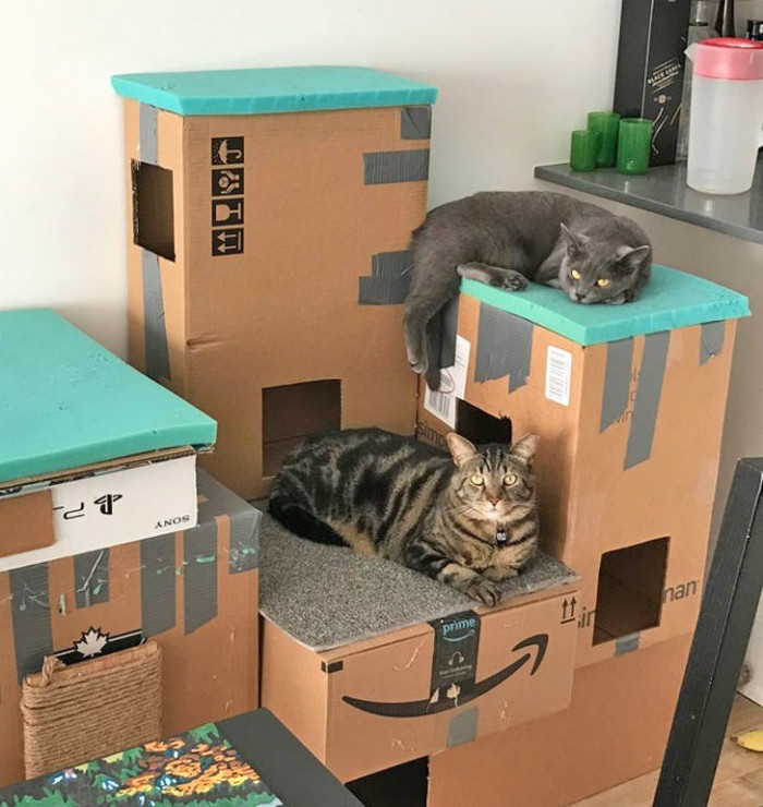 3. DIY cat castle because royalty doesn't live with commoners.
