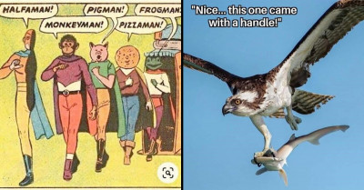 27 Animal Memes That Intersect Perfectly Between Funny and Troubling for You to Awkwardly Laugh At