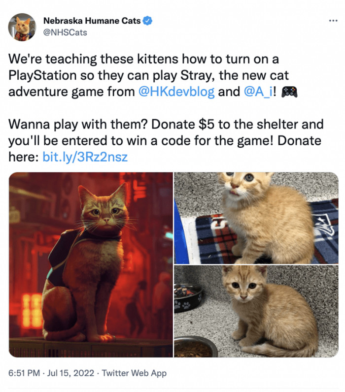 11. It’s adventure time.