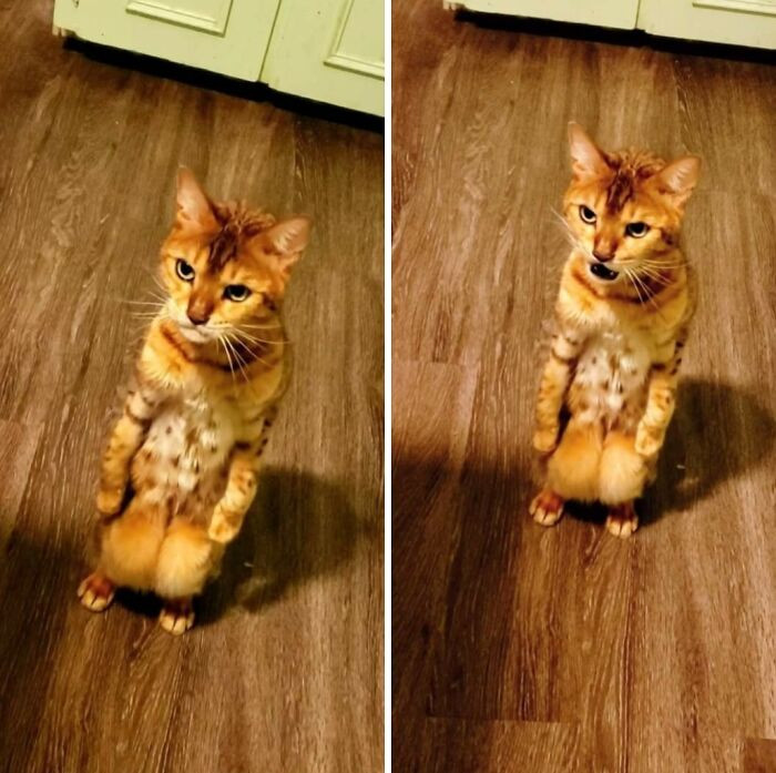 "She's Got A Lot Of Attitude For Someone Who Weighs 7lbs"