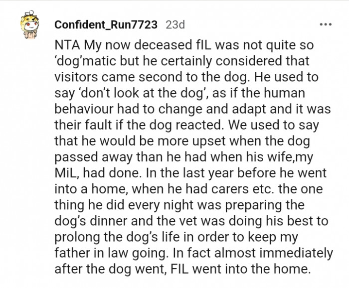 For not looking at that dog