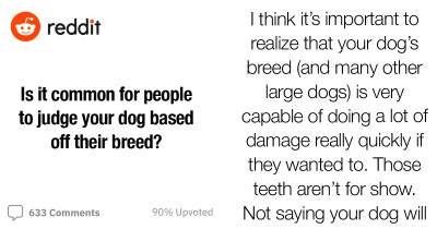 Redditors Chirp In On Why It Is Common For People To Judge Dogs Based On Their Breeds