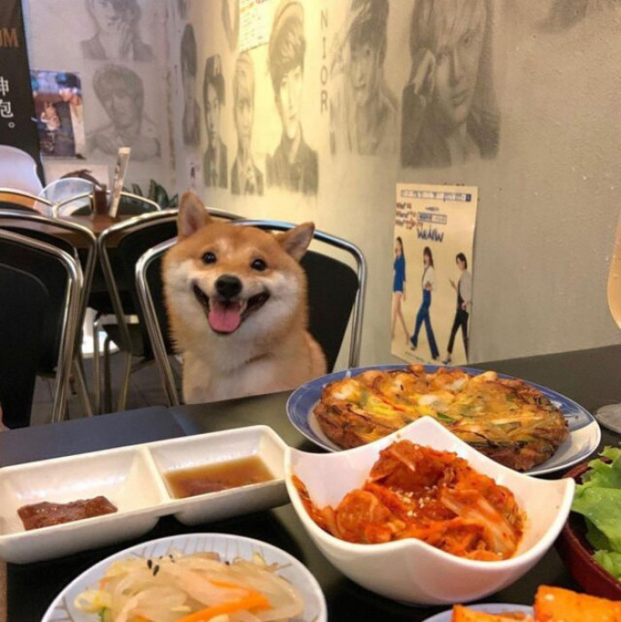 4. “You have taken on a beautiful date? Don’t be nervous: It is a dog.”