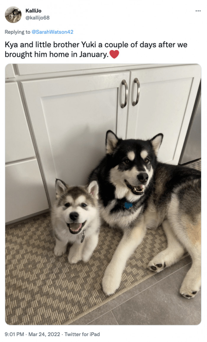 10. Look at that cute smile!