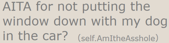 The OP asked this question after a man called them out for not putting the windows down for their dog.