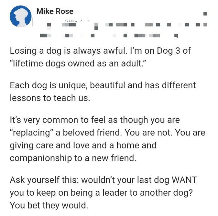 10. Each dog is unique and beautiful