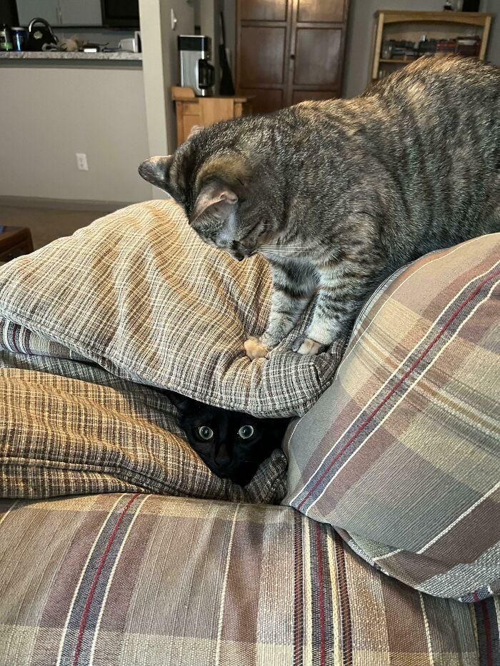 "Well That’s Not Very Nice"