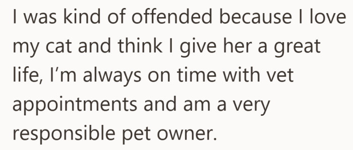 When love, vet appointments, and homemade toys still somehow need explaining.