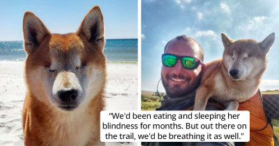 Blind Dog Undertakes An Epic 1,100-Mile Hike With Her Owner To Help Gain Back Her Self-Confidence