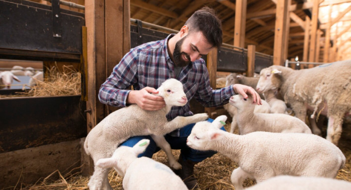 What Counts as a Farm Animal?