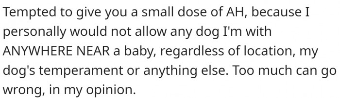 They would never allow their dog to go near a baby - so many things that could go wrong.