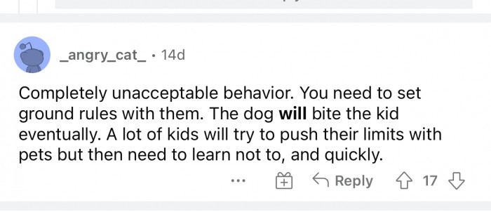 Kids will be kids and dogs will be dogs, but there need to be some boundaries set.