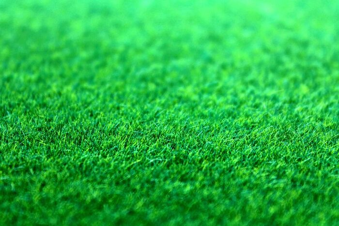 26. Exactly how ecologically disastrous turf lawns are.