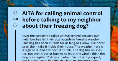 Redditor Asks If Calling Animal Control About Neighbor's Freezing Dog Without Consulting Neighbor First Is Justifiable