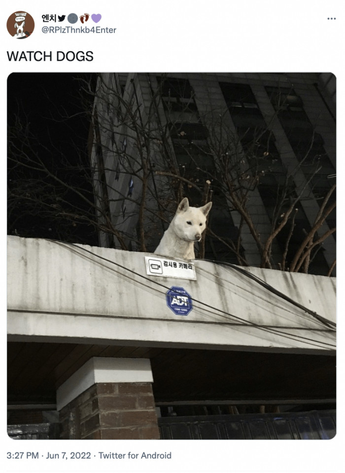 14. What's going on here?