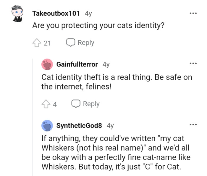 The Cats Ought to Be Safe on the Internet