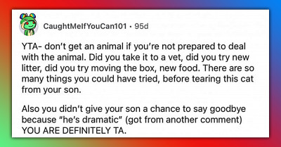 Dad Gets Rid Of Son's Cat But Doesn't Tell Him And People Are Not Happy About It