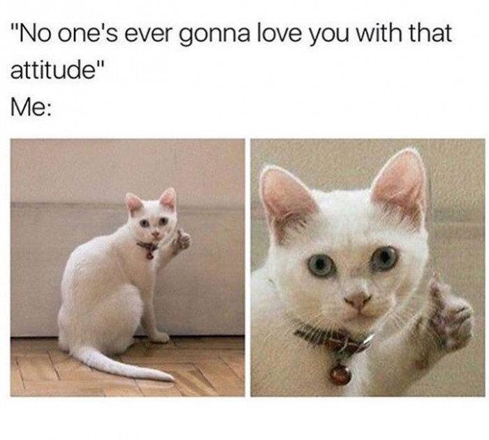 5. Good luck with that