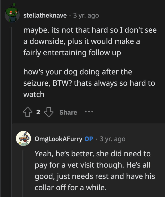 The thief did have to pay for Meatball's vet bills