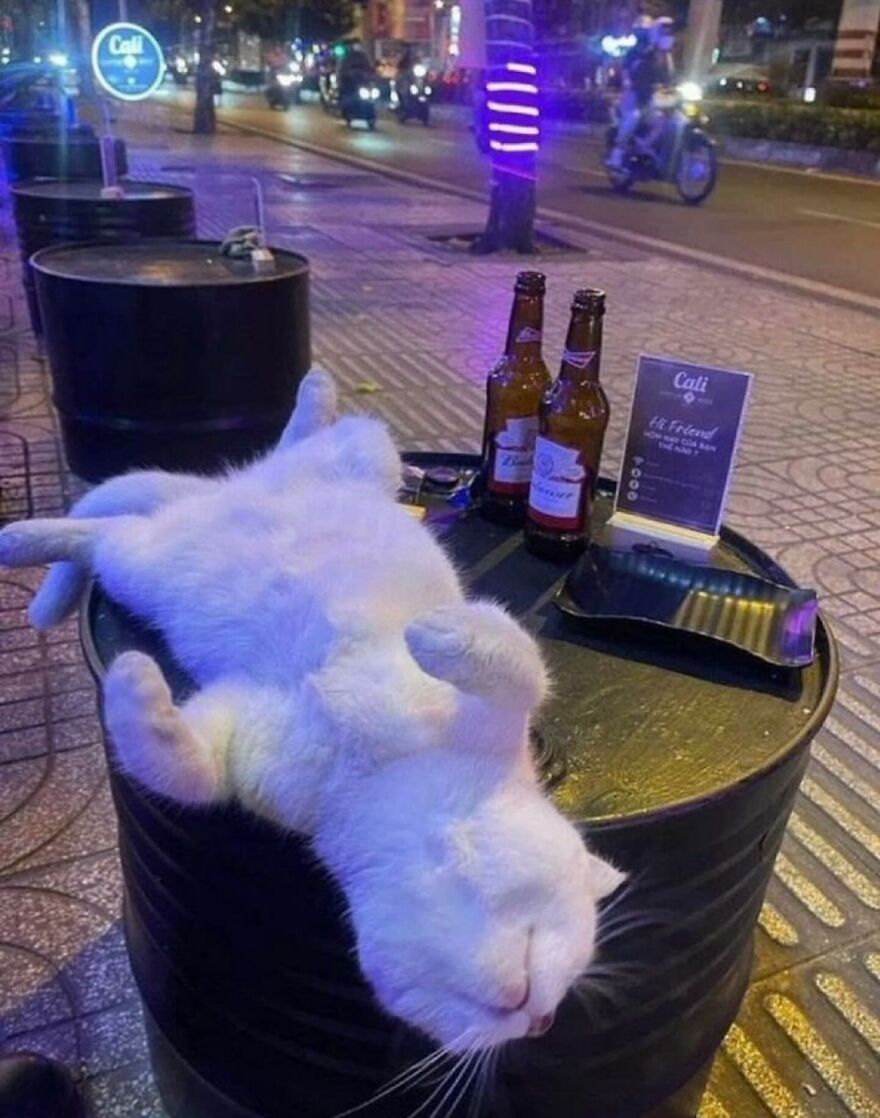 One too many milk shots.