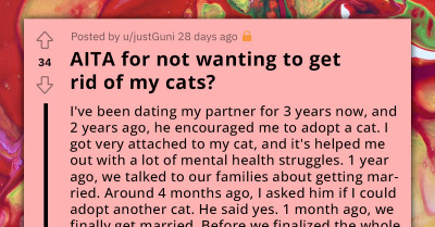Man Demands That His Wife Get Rid Of The Cats He Agreed To Get, Wife Refuses, And Redditors React