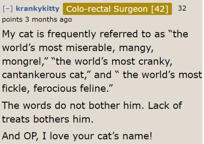Proof that cats aren't bothered by the nasty English words.