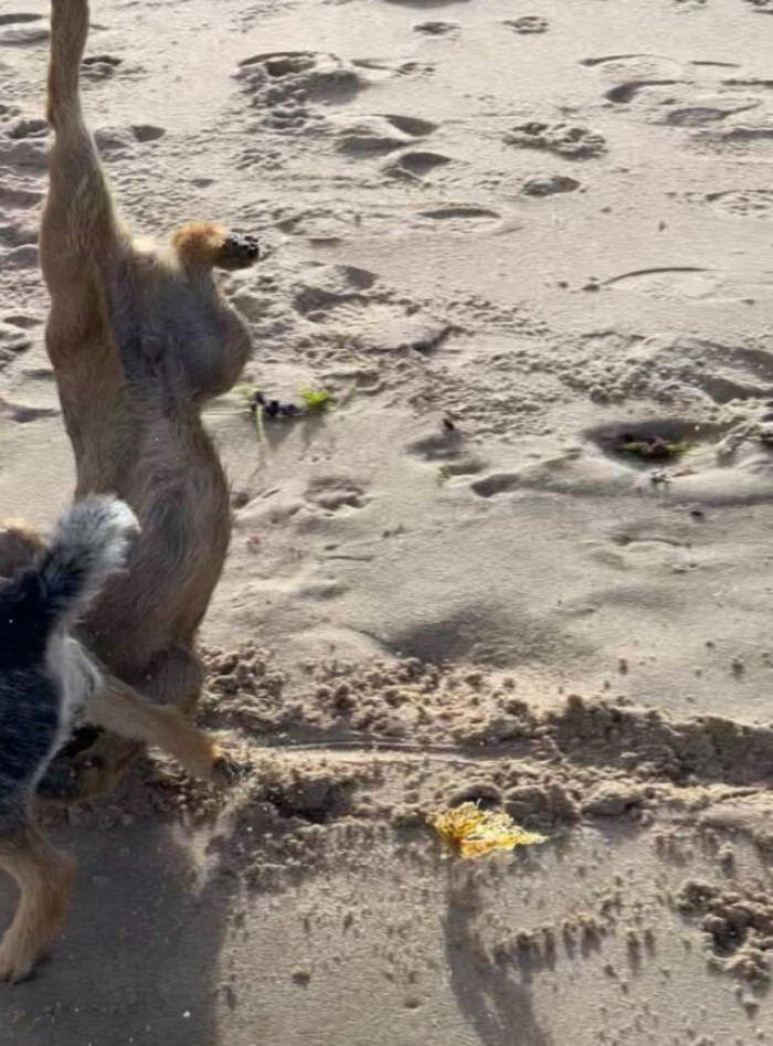 16. Sometimes, superheroes can misjudge landings